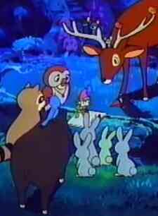 Peter Of Placid Forest