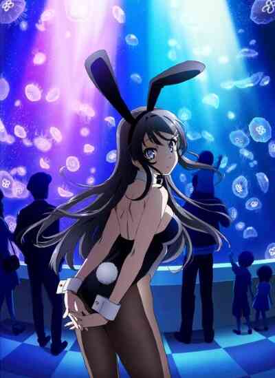 Rascal Does Not Dream of Bunny Girl Senpai
